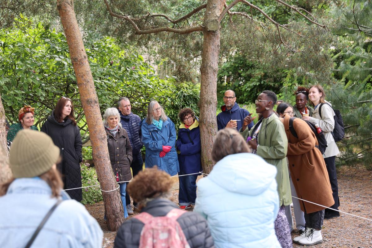 A group of people standing among pine trees in the garden, listening to the artist speak, with a white cord strung between the trunks.